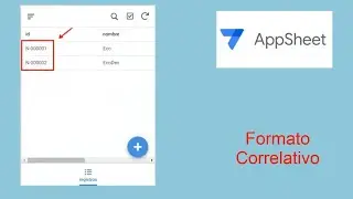 Formato Correlativo AppSheet