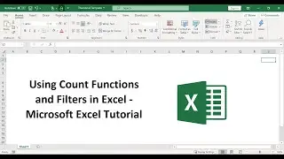 Using Count Functions and Filters in Excel - Microsoft Excel Tutorial