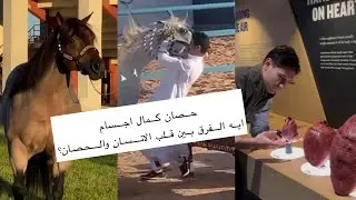 حصان كمال اجسام وايه الفرق بين قلب الانسان والحصان؟