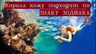 Коралл кому подходит по знаку зодиака/Оберег от зависти и злых людей/Оберег от порчи/Камни любви