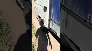Соллерс Арго. Сечет глушитель