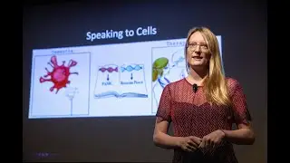 Speaking to Cells – UCSF Postdoc Slam 2023, Amanda McQuade, PhD