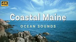 2 Hours of Ocean Sounds from Coastal Maine in 4K