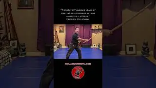 Reverse Sneaky Sword Draw, #shorts #ninja #samurai #martialarts