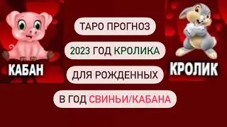 Годовой зодиакальный таро прогноз! Что ждет в Год Кролика, рожденных в Год Свиньи/Кабана! Основное