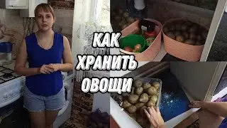 Как хранить овощи в маленькой квартире