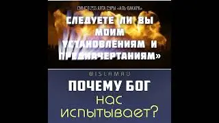 Почему Бог нас испытывает? #беда #Бог #Коран