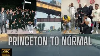 TayTown to Lamron| Chicago Notorious Englewood Community| 4K Drive thru tour