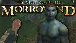 Morrowind but it's Oblivion!