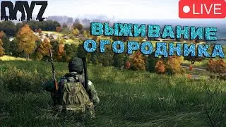 DayZ | ЧИЛ НА ЧЕРНО [СТРИМ 2K] [DZN]