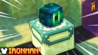 How many eyes will this take... ( Hypixel Skyblock Ironman ) Ep.248