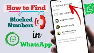 How to Find Blocked Number in WhatsApp 2024 || How to Check WhatsApp Blocked Number List