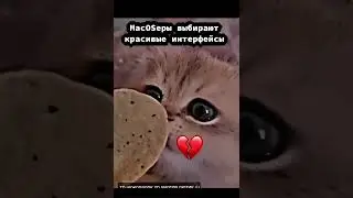 Что делают Линуксоиды Ночью 😏