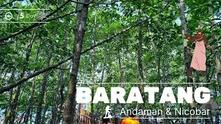 Baratang | Andaman and Nicobar Islands | Day 5