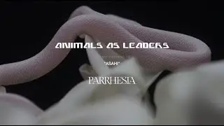 ANIMALS AS LEADERS - Asahi