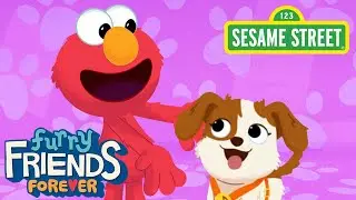 Sesame Street: T-A-N-G-O (BINGO Song Remix) | Elmo & Puppy Furry Friends Forever