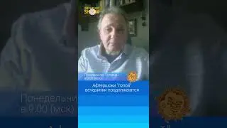 Афтершоки голой вечеринки продолжаются
