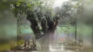 Народные приметы на 10 июля дождливый день — к затяжному ненастью  Погода