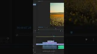 Cut Multiple Clips in Adobe Premiere Pro