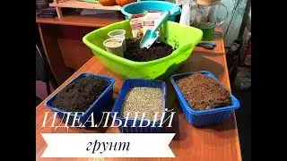 Качественный грунт для рассады