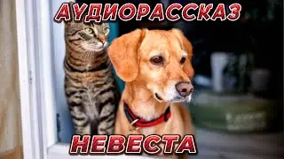 АУДИОРАССКАЗ "НЕВЕСТА"