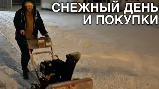 влог, в котором я никак не могу выговорить слово "выпасть"