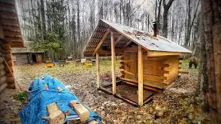 A bear walks near my house in the forest. Building a bath
