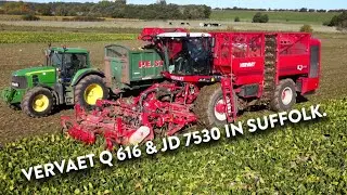 4Kᵁᴴᴰ Harvest 2022: Lifting sugar beet in Gulpher, Suffolk with a Vervaet Q 616 & JD 7530 on carting