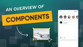 An Overview of Components | A No Code App Builder Tutorial