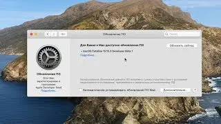 Как отключить появление обновлений бета-версий macOS на Mac / Hackintosh