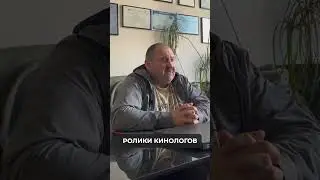 НЕ ДРЕССИРУЙ СОБАКУ САМ! Ты СДЕЛАЕШЬ ХУЖЕ СОБАКЕ! Почему НЕЛЬЗЯ дрессировать собаку САМОМУ? 