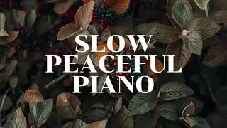 Peaceful Piano Music For Studying - slow background music