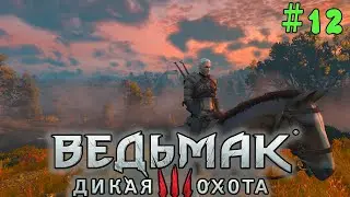 Велен. Дух дерева | The Witcher 3 ⏯ #12