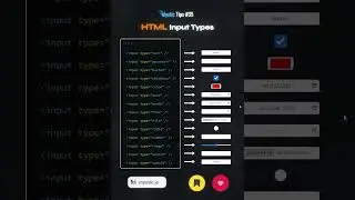 HTML Input Types 🧙‍♂️🪄