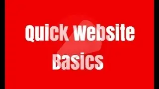 Basics Website Requirements - Domain, Hosting, CMS