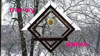 Кормушка своими руками.  DIY bird feeder.