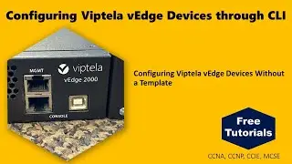 Configuring Viptela vEdge Devices through CLI