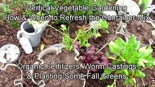 Vertical Vegetable Gardening: How & When to Refresh the Container Mix & Planting Cool-Weather Greens