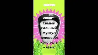 Самый сильный мускул человеческого тела – язык #facts #top #factOFF top #history #юмор