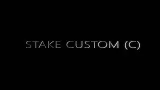 Stake Custom Optical Flare Video Intro