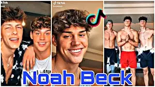 Noah Beck Best TikTok Compilation 2020 🔥 @noahbeck