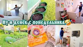 Мотивационный день🤣/Полезная посылка 📦/Полили всё....