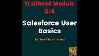 Salesforce User Basics 