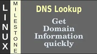 DNS Lookup - Get domain information quickly