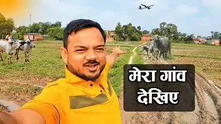 मेरा गांव 🏕️ My village || गौशाला देखिए । Vlog 03