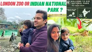 LONDON ZOO visit with our 3 year old | Things to do in London | Desi Couple in London