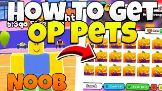 How To Get A Full Team Of OP Pets [Arm Wrestling Simulator]