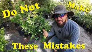 Common Gardening Mistakes That KILL Plants