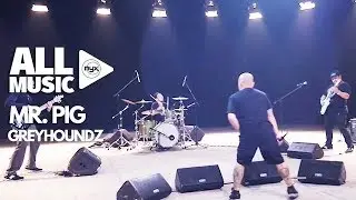GREYHOUNDZ - Mr. PIG (MYX Live! Performance)
