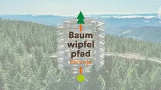 Baumwipfelpfad Pohorje - Pot med krošnjami Pohorje